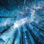 知らないと損する四柱推命から見た占い師に向いている星の探し方