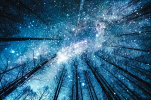 知らないと損する四柱推命から見た占い師に向いている星の探し方