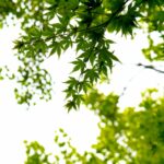 占い師に霊感・霊視は必要?初心者向けの実践で使えるテクニック