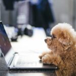 在宅占い師の年収はどれくらい?副業と本業で差を徹底解説